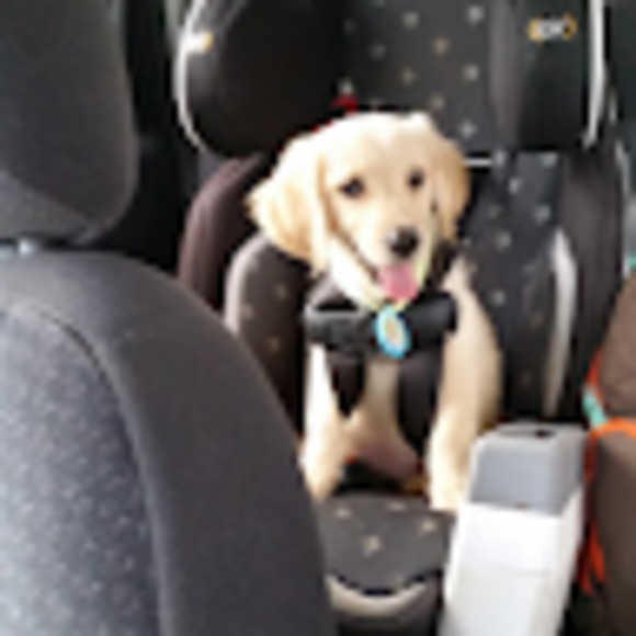 Meet your Posher, Melissa - Picture 1 of 1